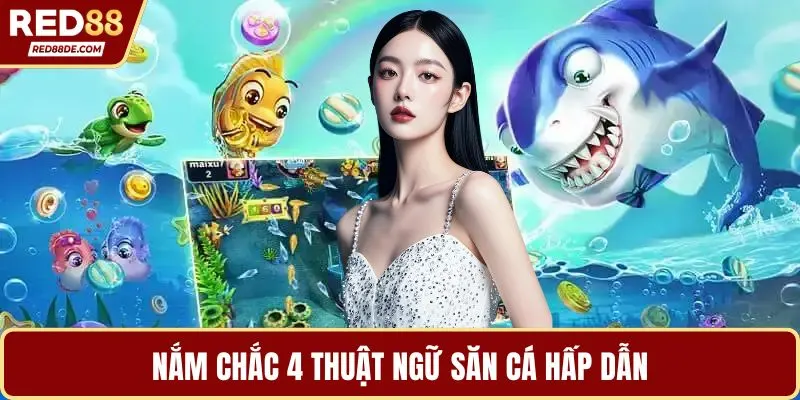 Nắm chắc 4 thuật ngữ săn cá hấp dẫn